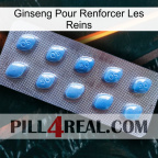 Ginseng For Reinforcing Kidney viagra3
